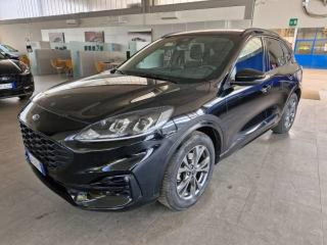 Ford Kuga 1.5 Ecoboost 150 Cv 2wd St-Line 