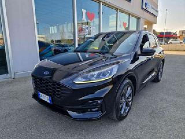 Ford Kuga 1.5 Ecoblue 120 Cv 2wd St-Line 