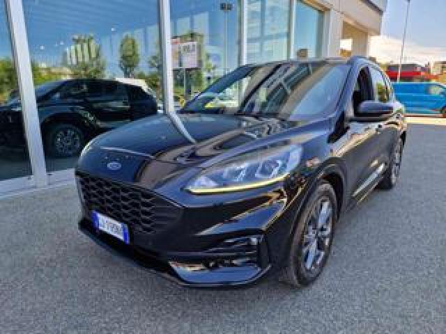 Ford Kuga 1.5 Ecoblue 120 Cv 2wd St-Line 