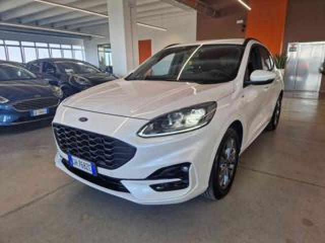 Ford Kuga 1.5 Ecoblue 120 Cv Aut. 2wd St-Line X 
