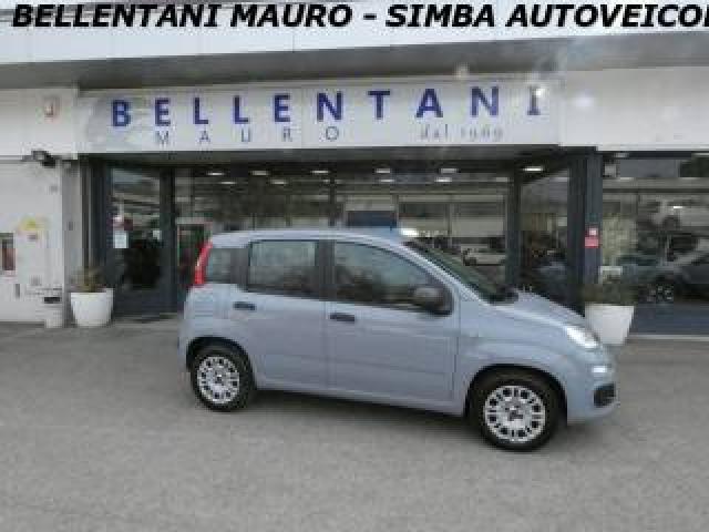 Fiat Panda 1.2 Easypower Easy - Danni Da Grandine -  