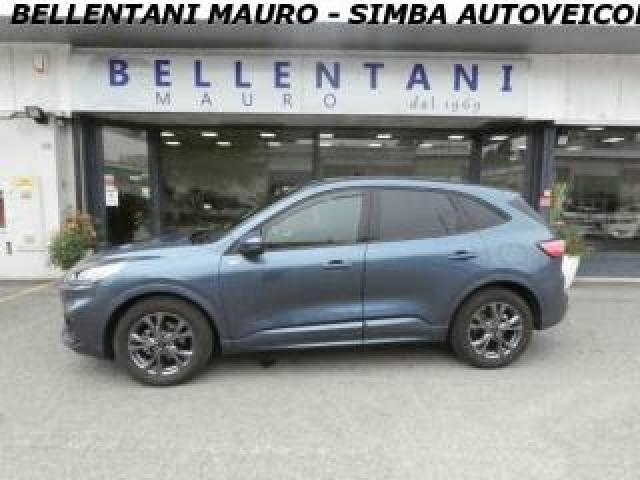 Ford Kuga 2.0 Ecoblue 120 Cv Aut. 2wd St-Line 