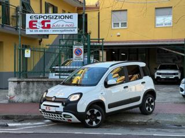 Fiat Panda Cross 1.0 Firefly S&s Hybrid 