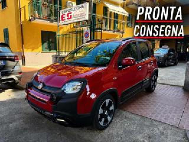 Fiat Panda 1.0 Firefly S&s Hybrid Pandina 