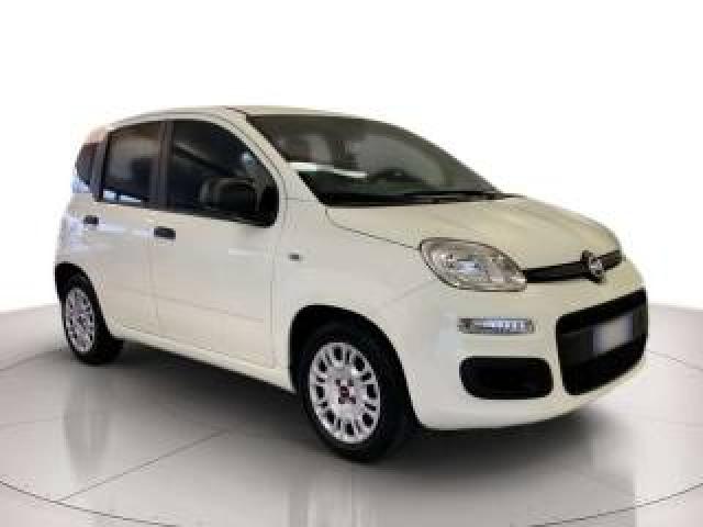 Fiat Panda Panda 1.0 Firefly Hybrid S 