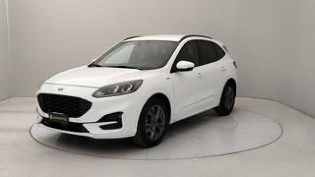 Ford Kuga 1.5 Ecoblue St-Line 2wd 120cv Auto 