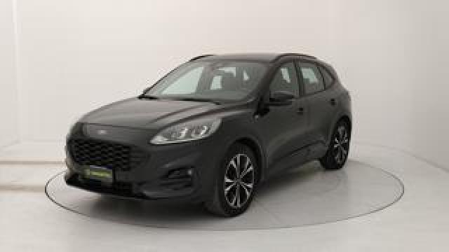 Ford Kuga 1.5 Ecoblue St-Line 2wd 120cv Auto 