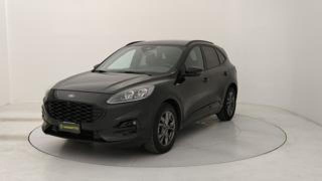 Ford Kuga 1.5 Ecoblue St-Line X 2wd 120cv Auto 