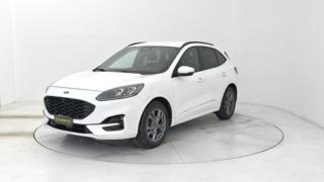 Ford Kuga 1.5 Ecoblue St-Line X 2wd 120cv Auto 