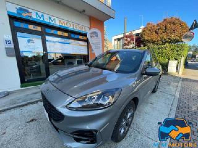 Ford Kuga 2.5 Full Hybrid Cvt St-Line Prommo 