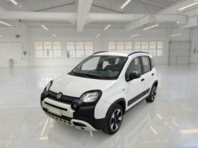 Fiat Panda Cross 1.0 Firefly S&s Hybrid 