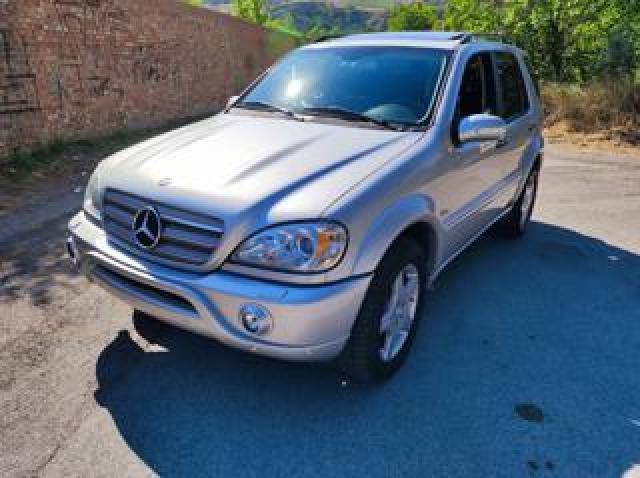 Mercedes Benz