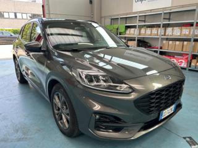 Ford Kuga 1.5 Ecoblue 120 Cv 2wd St-Line 