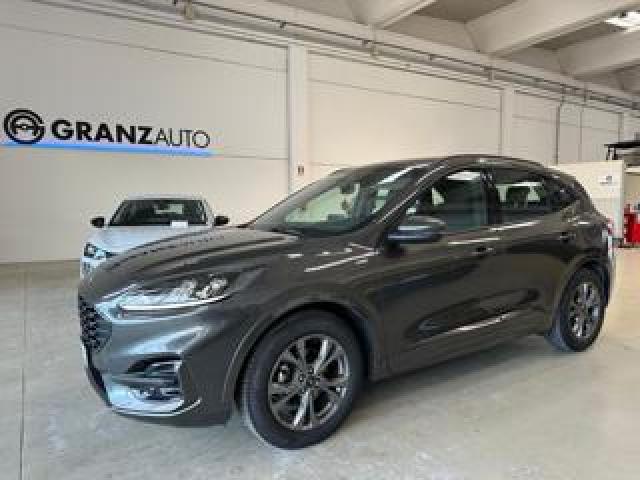 Ford Kuga 1.5 Ecoblue 120 Cv Aut. 2wd St-Line 