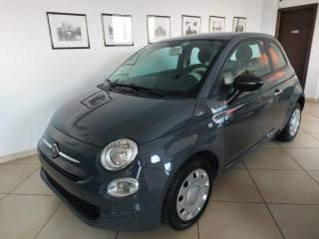 Fiat 500 1.0 Hybrid Cult Uniprò Clima Fatturabile Legge 104 