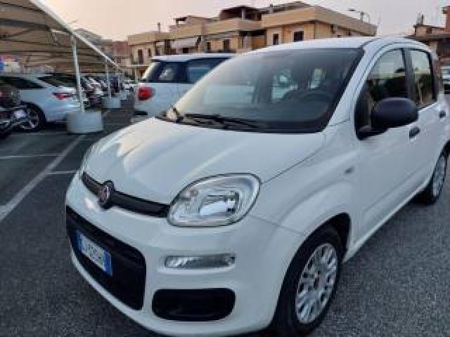 Fiat Panda 1.0 Firefly S&s Hybrid 5 Posti Sedile Reg Altezza 