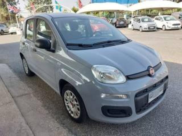 Fiat Panda 1.0 Firefly S&s Hybrid Aziendale Possib .legge 104 