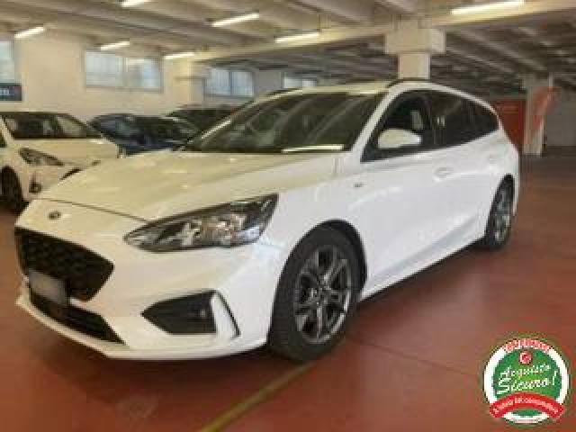 Ford Focus 1.5 Ecoblue 120 Cv Automatico Sw Business 