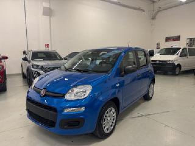 Fiat Panda 1.0 Firefly S&s Hybrid Km.0 