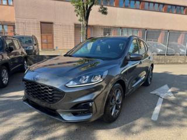 Ford Kuga 2.0 Ecoblue 120 Cv Aut. 2wd St-Line 