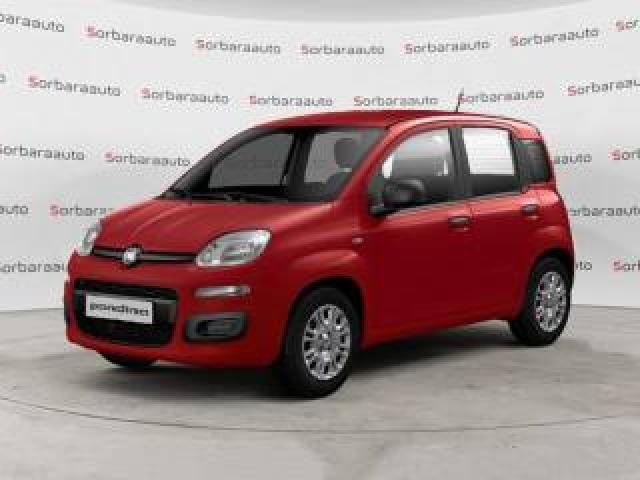 Fiat Pandina 1.0 Firefly 65 Cv Hybrid Pop 