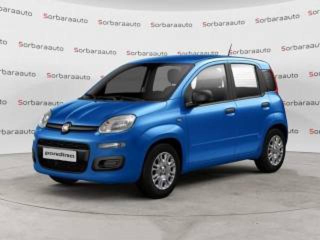 Fiat Pandina 1.0 Firefly 65 Cv Hybrid Pop 