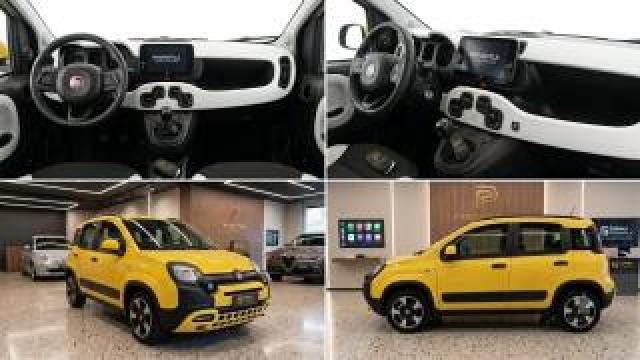 Fiat Panda Cross 1.0 Firefly S&s Hybrid Pandina Iii 