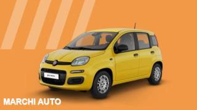 Fiat Pandina 1.0 Firefly 65 Cv Hybrid Pop 