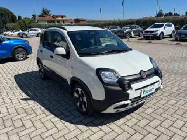 Fiat Panda 1.0 Firefly S&s Hybrid Pandina 