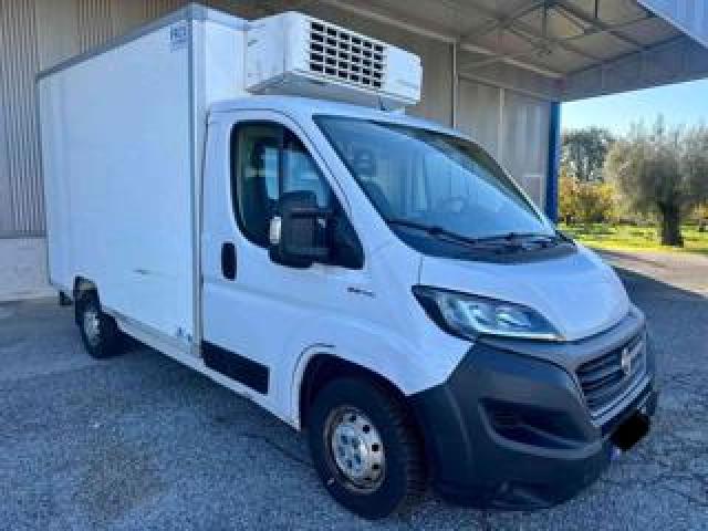 Fiat Ducato 35 2.3 Mjt 140cv Cella Frigo 