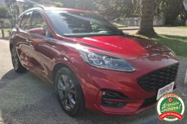Ford Kuga 2.0 Ecoblue Hybrid 150 Cv 2wd St-Line Un.prop. 