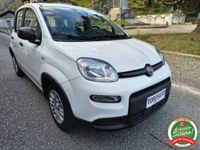 Fiat Panda 1.0 Firefly S&s Hybrid Pandina Un.prop. 
