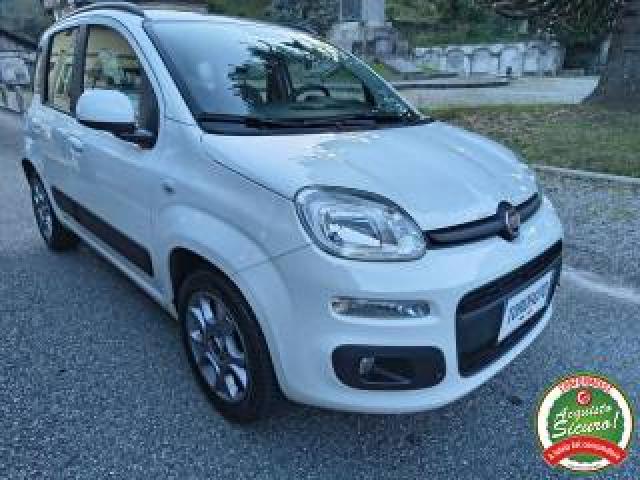 Fiat Panda 1.2 Lounge Un.prop. 