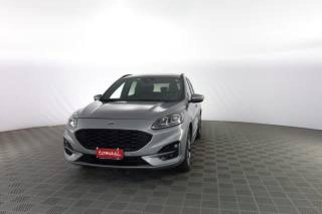 Ford Kuga Kuga 1.5 Ecoblue 120 Cv Aut. 2wd St-Line 