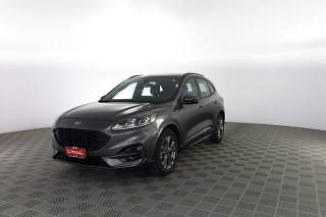 Ford Kuga Kuga 1.5 Ecoblue 120 Cv Aut. 2wd St-Line 