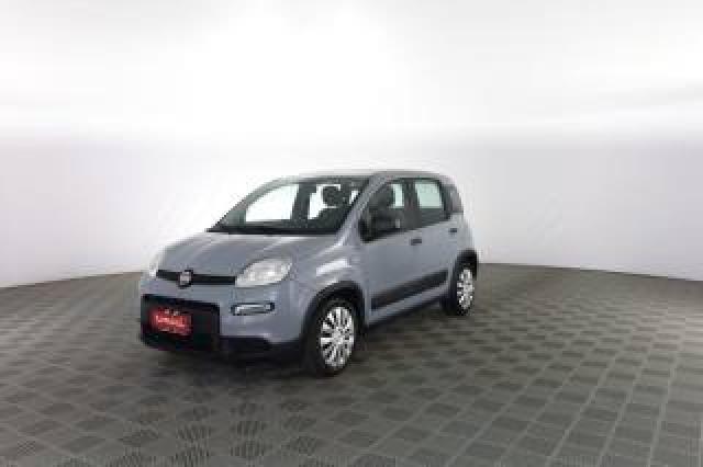Fiat Panda Panda 1.0 Firefly Hybrid City Life 