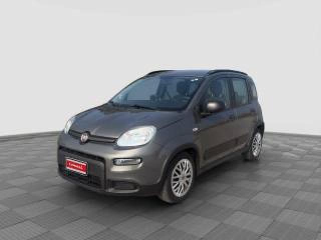 Fiat Panda Panda 1.0 Firefly Hybrid City Life 