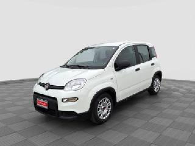 Fiat Panda Panda 1.0 Firefly S&s Hybrid 