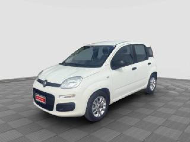 Fiat Panda Panda 1.2 Easypower Easy 