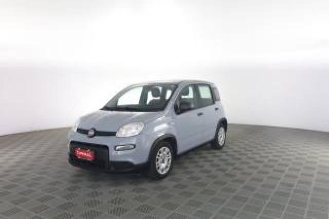 Fiat Panda Panda 1.0 Firefly Hybrid City Life 