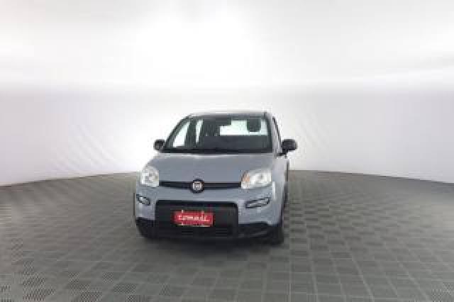 Fiat Panda Panda 1.0 Firefly Hybrid City Life 