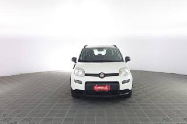 Fiat Panda Panda 1.0 Firefly Hybrid City Life 