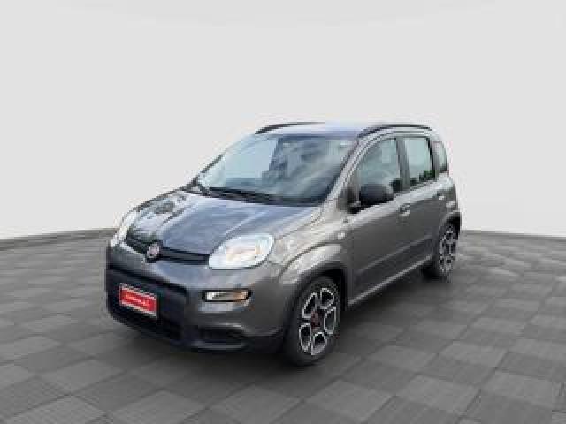 Fiat Panda Panda 1.0 Firefly Hybrid City Life 