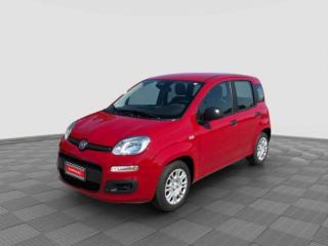 Fiat Panda Panda 1.0 Firefly S&s Hybrid 