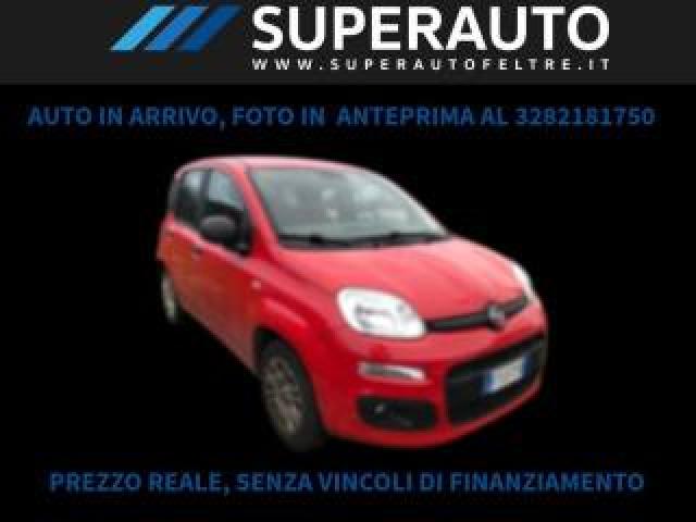 Fiat Panda 1.2 Benz./gpl 69 Cv 5p. *ok Neopatentati* 
