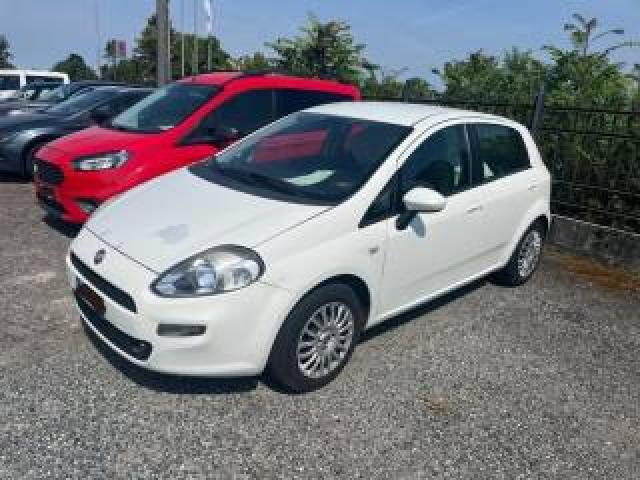 Fiat Punto 1.3 Mjt S&s 85 Cv 5 Porte Street 
