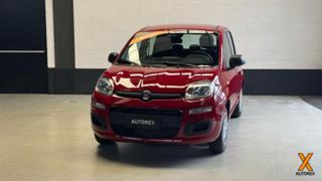 Fiat Panda 1.0 Hybrid Con Rottamazione 