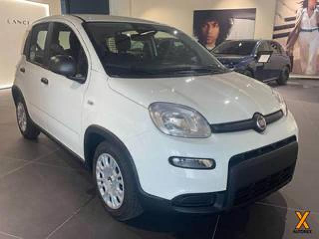Fiat Panda 1.0 Firefly S&s Hybrid Con Rottamazione 