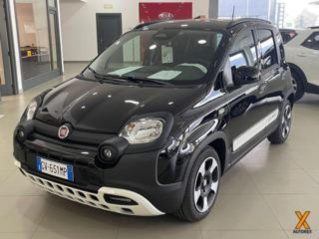 Fiat Panda 1.0 Firefly S&s Hybrid Pandina 