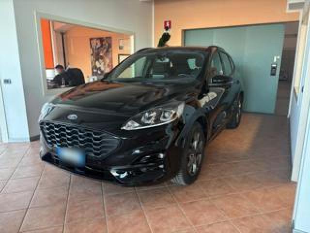 Ford Kuga 1.5 Ecoblue 120 Cv Aut. 2wd St-Line 